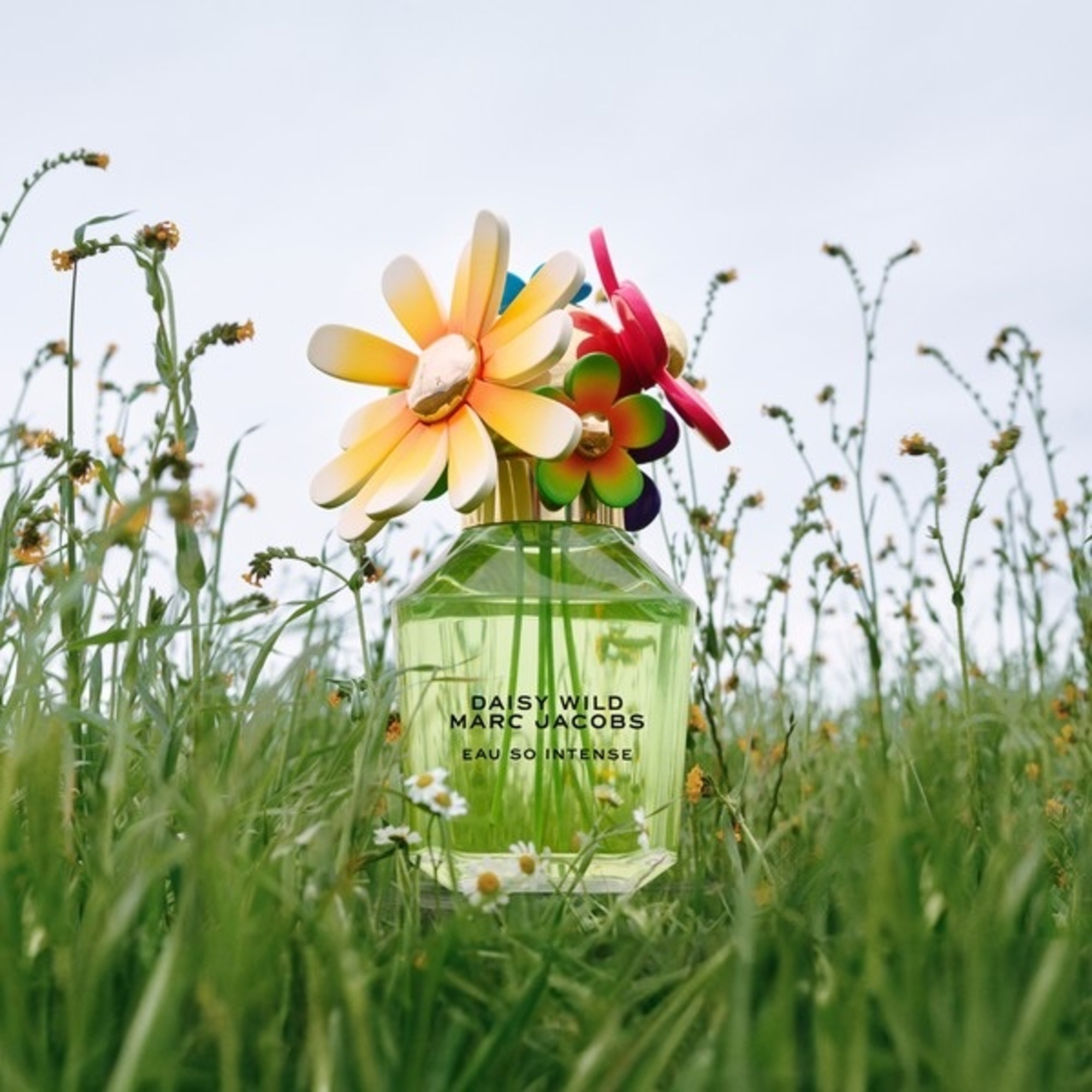 Daisy Wild Eau So Intense Eau De Parfum