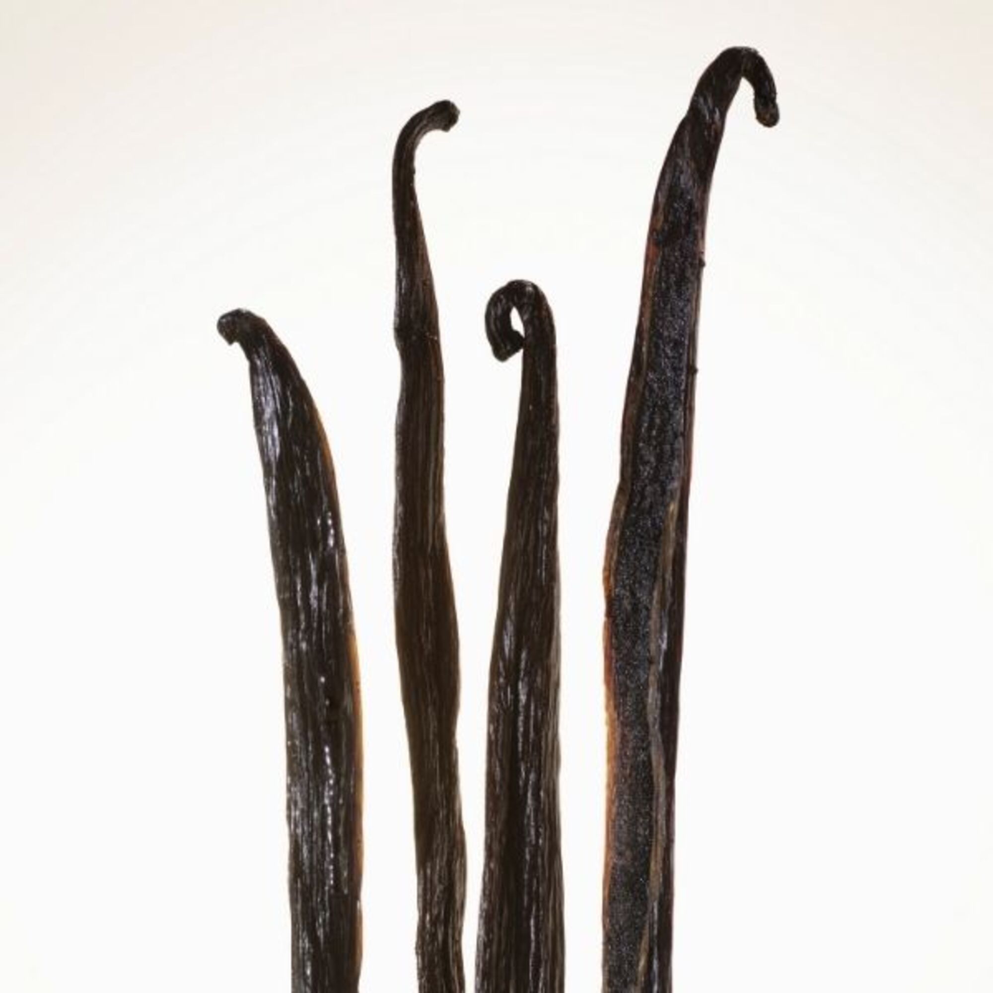 Goddess Intense Eau de Parfum