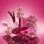 30 ML CALVIN KLEIN Euphoria Collection euphoria magnetic elixir Parfum Intense  6 of 8 euphoria magnetic elixir Parfum Intense