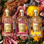 75 ML GUERLAIN Aqua Allegoria Aqua Allegoria Forte Bosca Vanilla Eau de Parfum 6 of 7 Aqua Allegoria Forte Bosca Vanilla Eau de Parfum