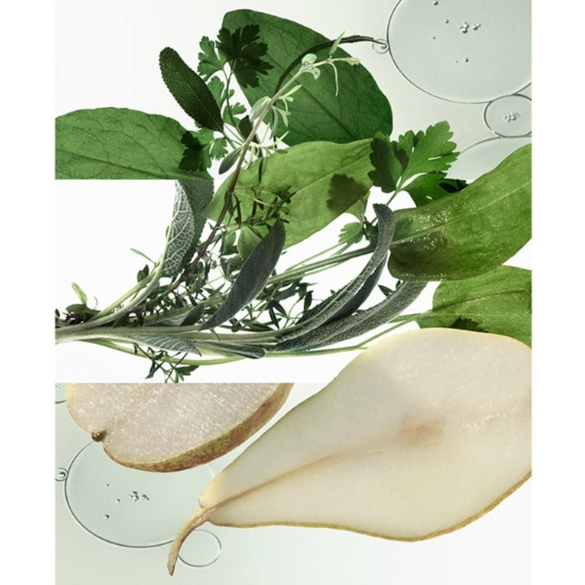 H24 Herbes Vives Eau de Parfum