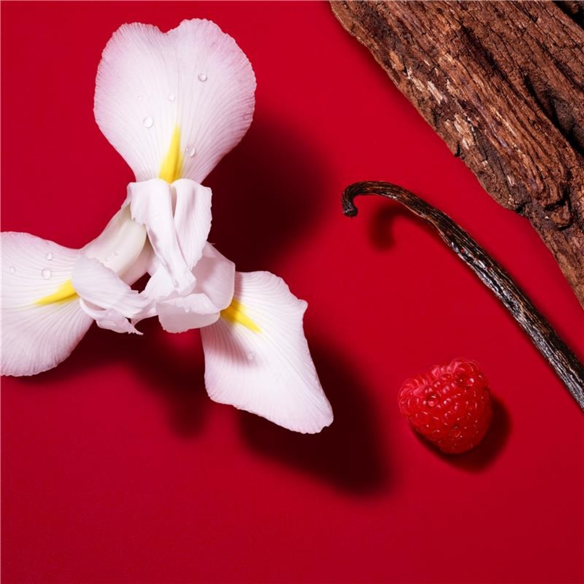 Si Passione Red Bloom Eau de Parfum