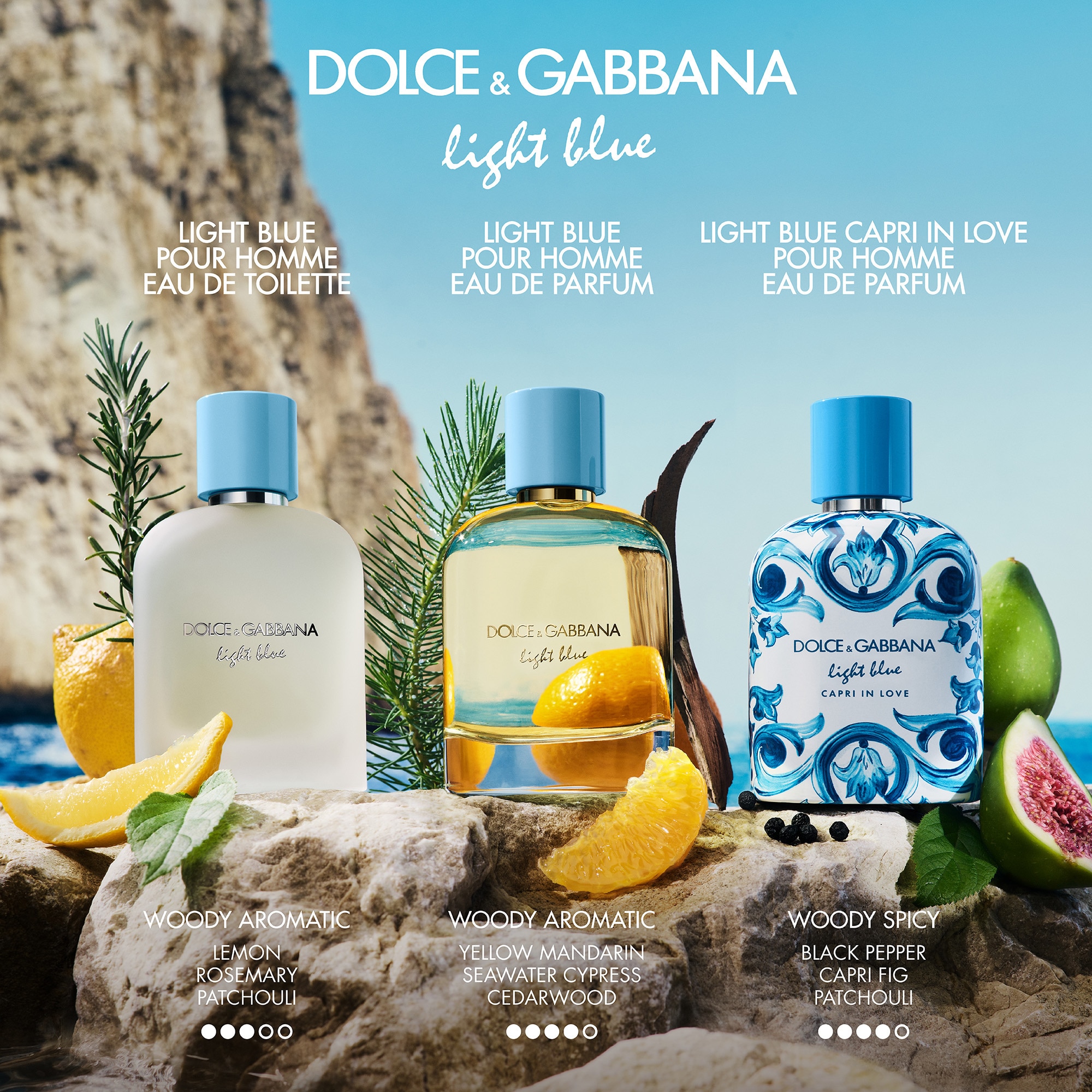 50 ML Dolce & Gabbana Light Blue Light Blue Pour Homme Eau de Parfum  1 of 8 