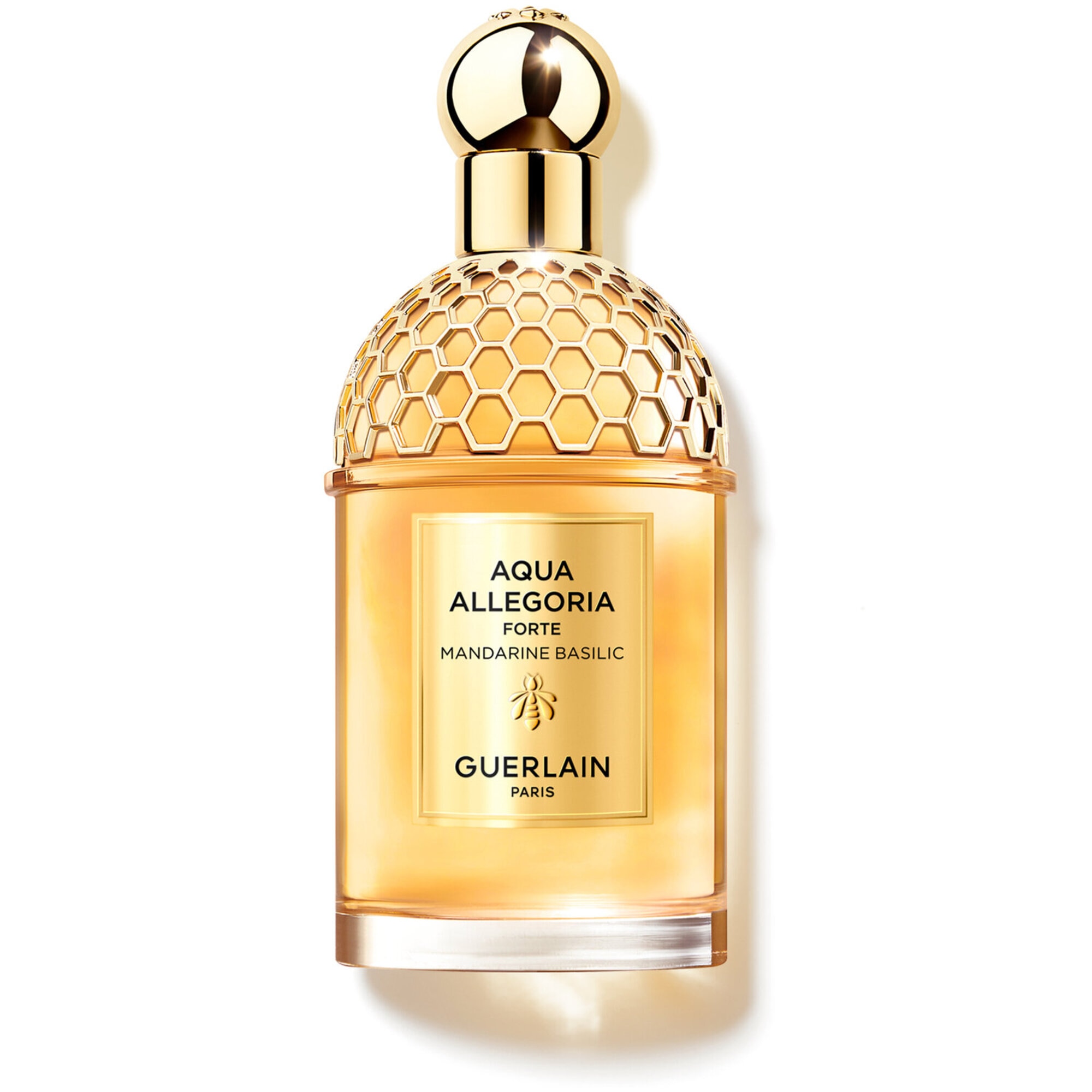 125 ML GUERLAIN Aqua Allegoria Aqua Allegoria Forte Mandarine Basilic Eau de Parfum 1 of 2