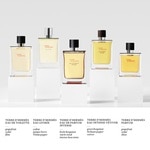 50 ML Hermès Terre d'Hermès Terre d'Hermès Eau de Parfum Intense 4 of 4 Terre d'Hermès Eau de Parfum Intense