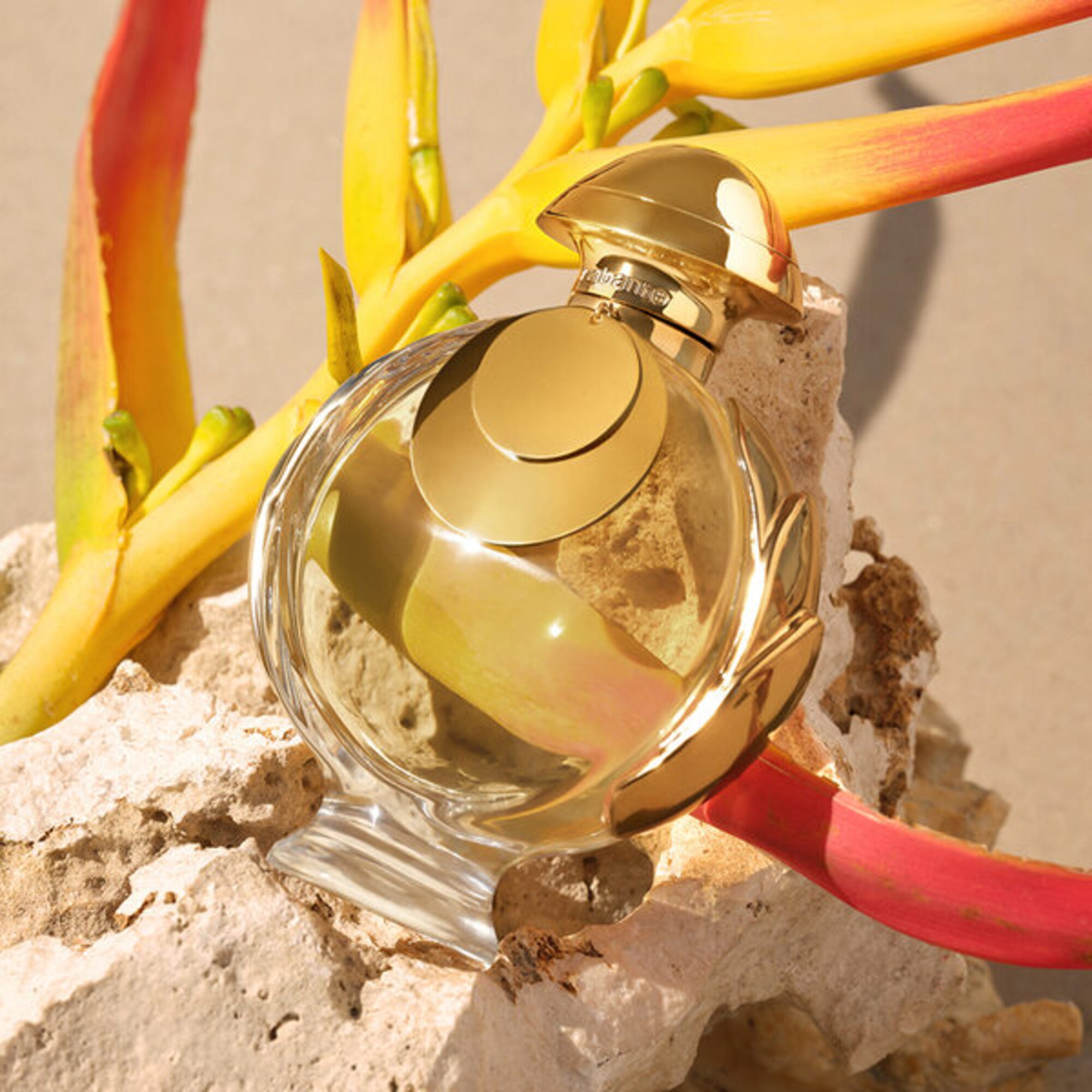 Olympéa Elixir Eau de Parfum Intense