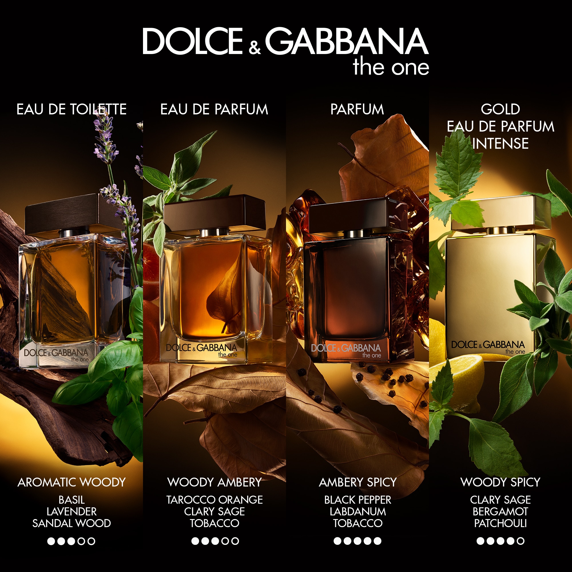 50 ML Dolce & Gabbana The One The One Pour Homme Parfum  1 of 6 