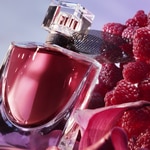 30 ML Lancôme La Vie est Belle LA VIE EST BELLE LELIXIR Eau de Parfum 2 of 5 LA VIE EST BELLE LELIXIR Eau de Parfum