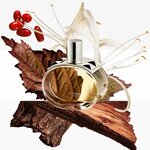 30 ML Hermès Barénia Barénia Eau de Parfum 2 of 6 Barénia Eau de Parfum
